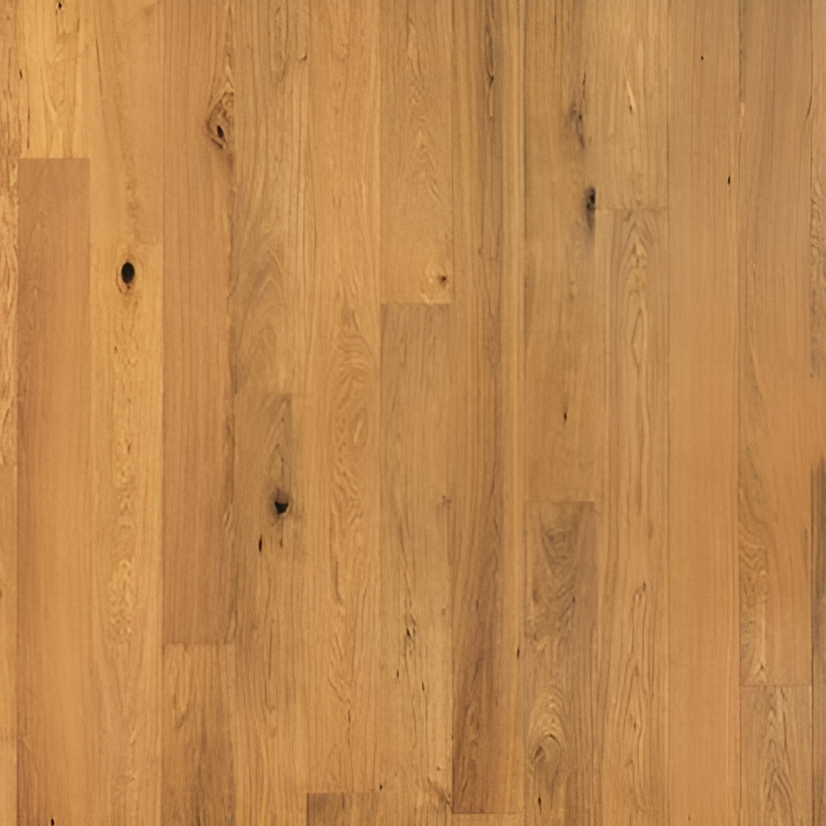 Parquet en chêne contrecollé - Europe 10 Huilé