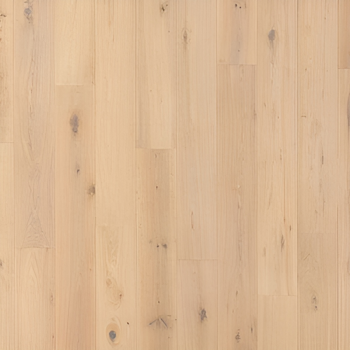 Parquet en chêne contrecollé - Goncourt Classique 14 Huilé