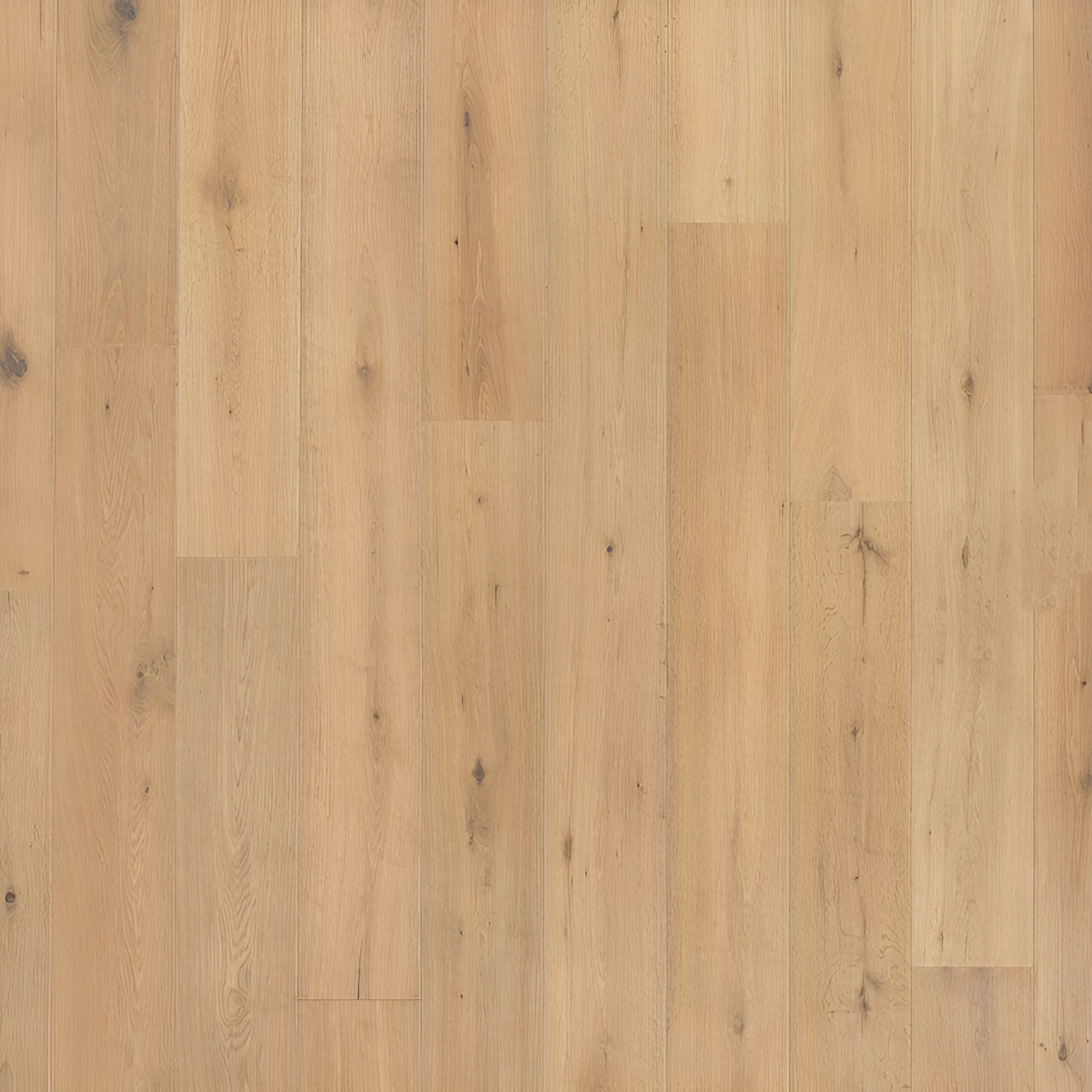 Parquet en chêne contrecollé - Goncourt Classique 14 Huilé blanc