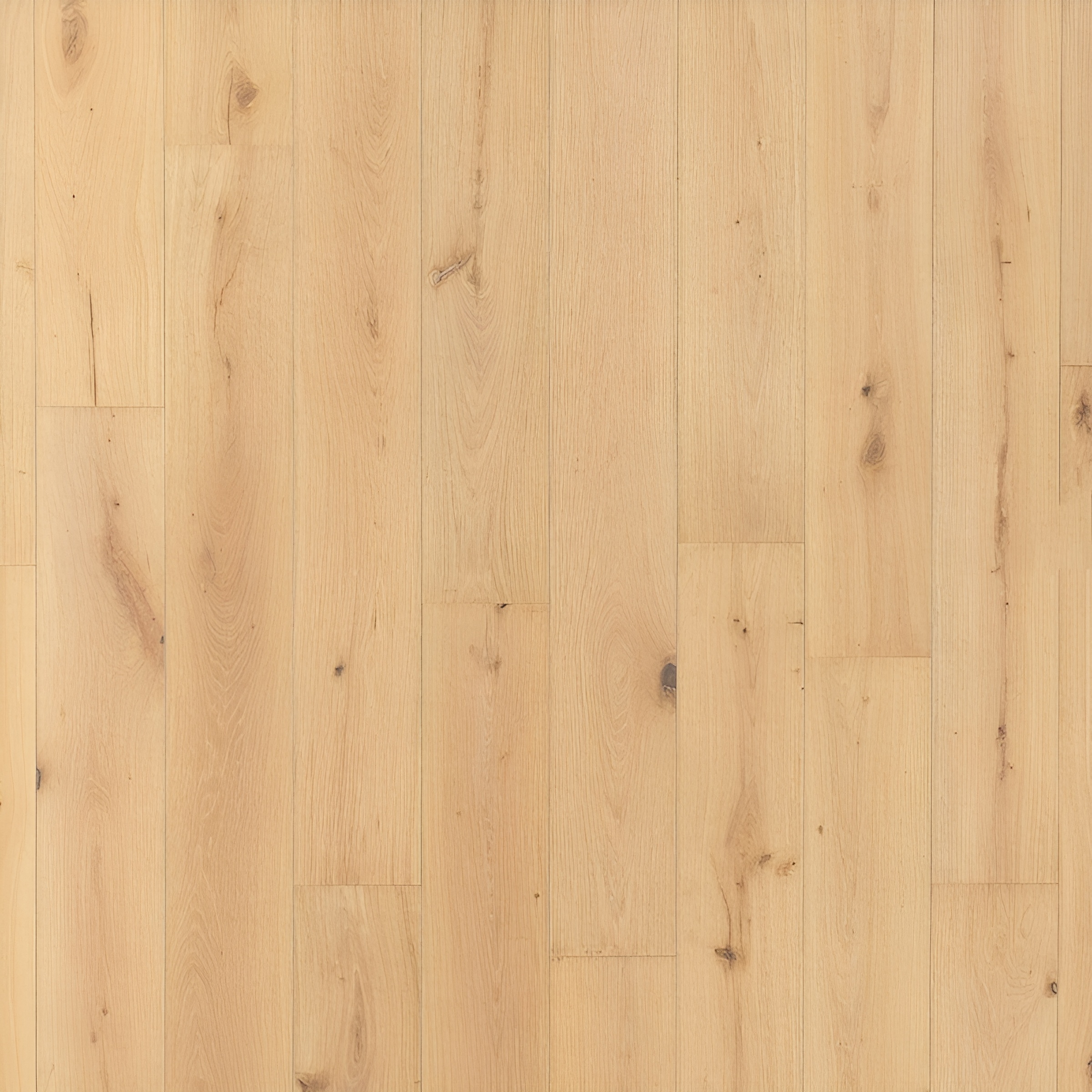 Parquet en chêne contrecollé - Anvers 14 Classique Huilé
