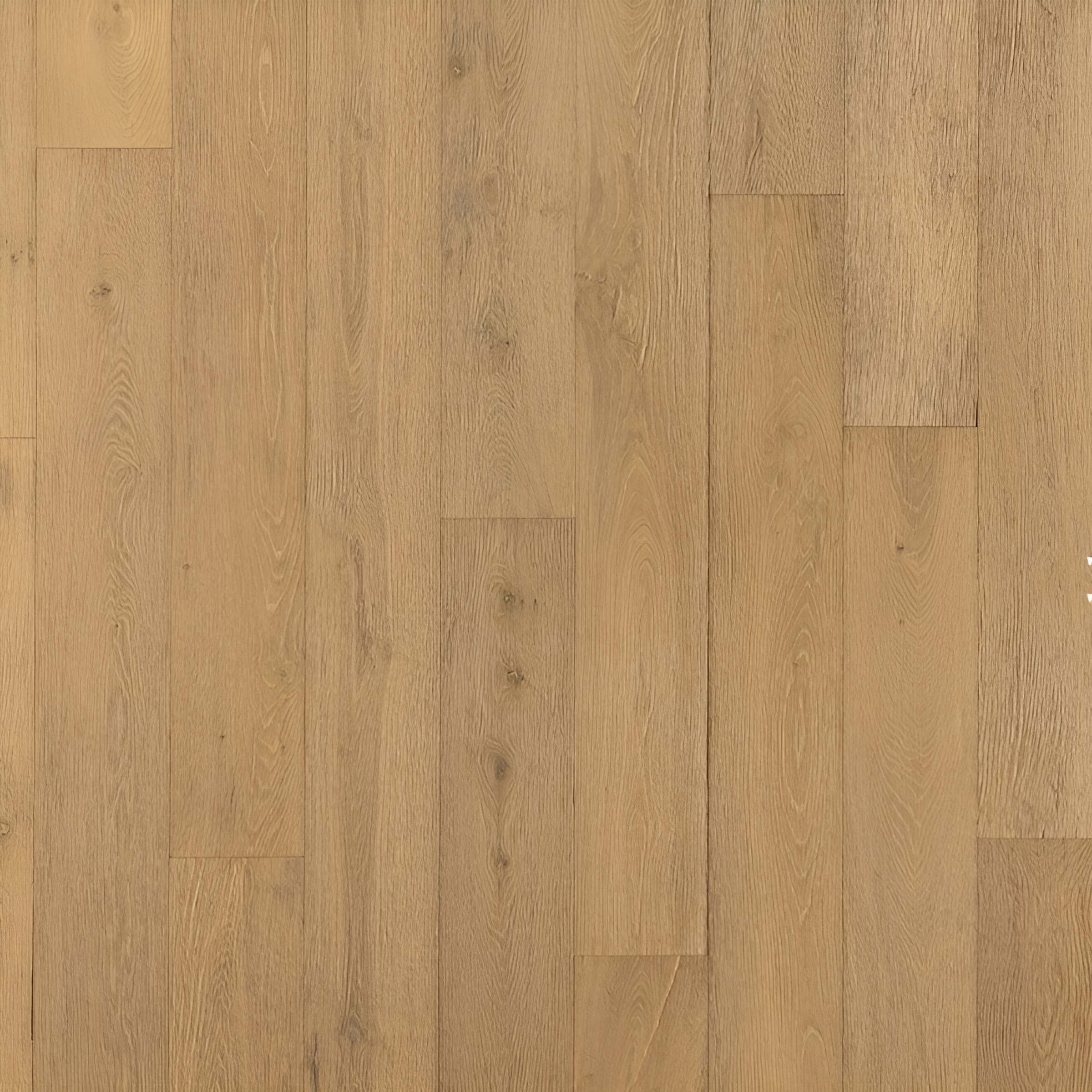 Parquet en chêne contrecollé  - Temple Classique 15 Huilé