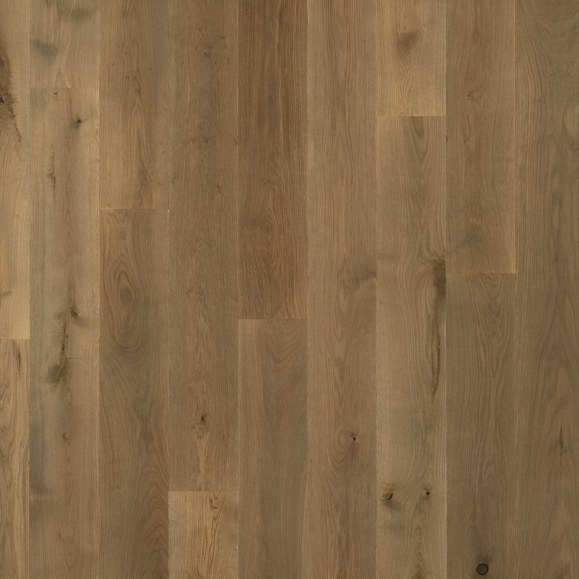 Parquet en chêne contrecollé - Bonsergent Classique 15 Huilé