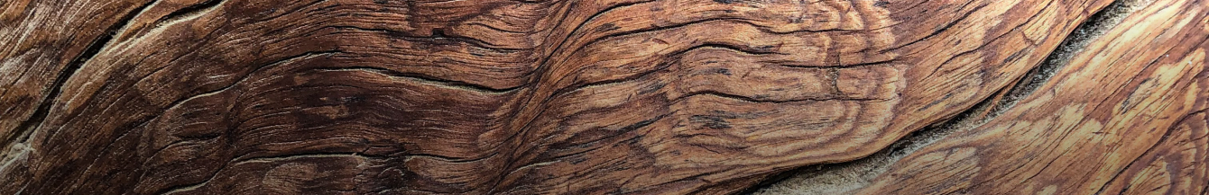 l’Environnement et le parquet